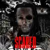 Weezy4k - Scared - Single